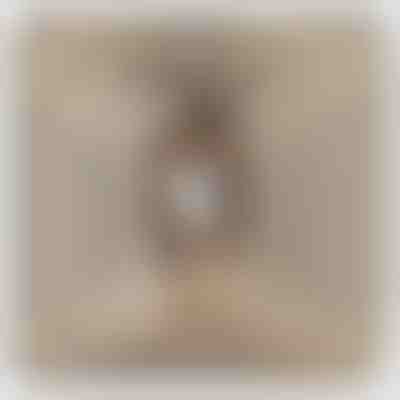 Mojej dcére – Náhrdelník s bielym 14k zlatom so zirkónovými kryštálikmi LEONA