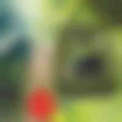 Solárna kempingová sprcha so vstavaným teplomerom (20 l) | SHOWDY