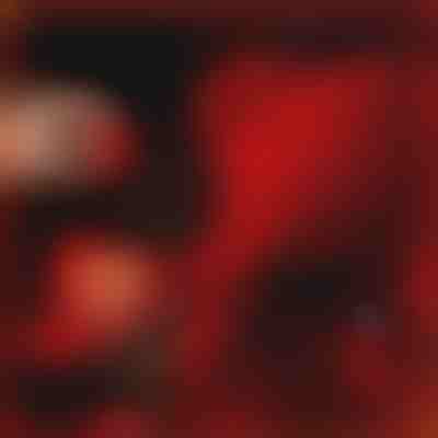 Darček, ktorý hovorí o láske | LOVEBEAR