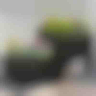 Pestovateľský box | BOTANITKO