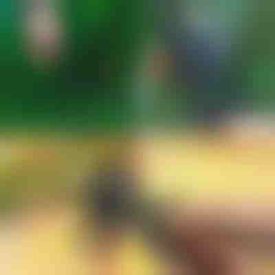 Profesionálne 2-v-1 nožnice na rezanie a štepenie | MASTERCUT