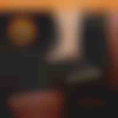 Nepremokavý kryt zadného sedadla auta pre psov | CARIPET