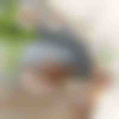 Interaktívna mávajúca hračka vtáčika | CHIRRCAT