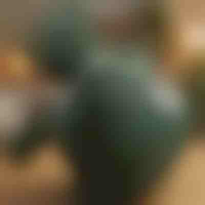 Vyhrievaný masážny prístroj na shiatsu | MASSORA