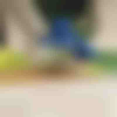 Elektrický škrabka na ovocie a zeleninu | PEELMATIC