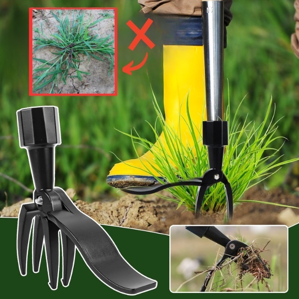 ROOTNIK